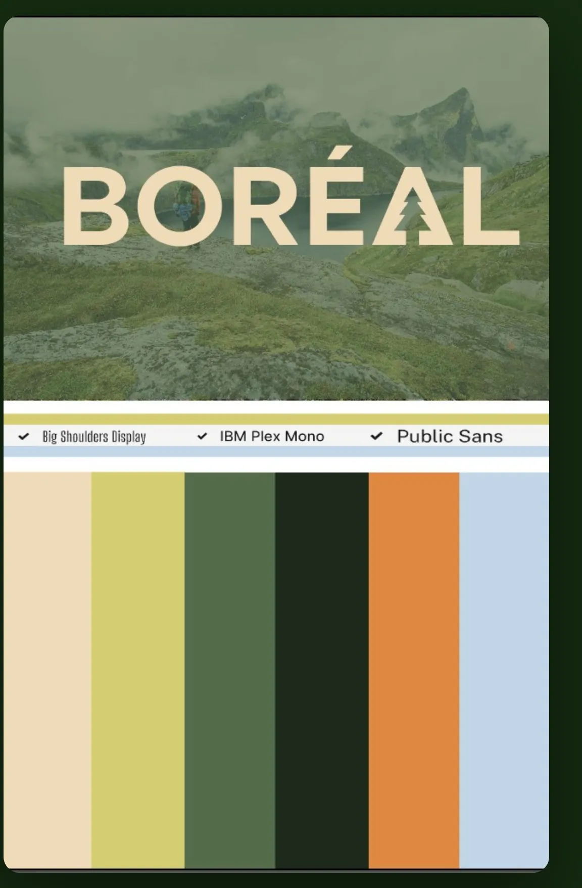 BORÉAL, visuel 6