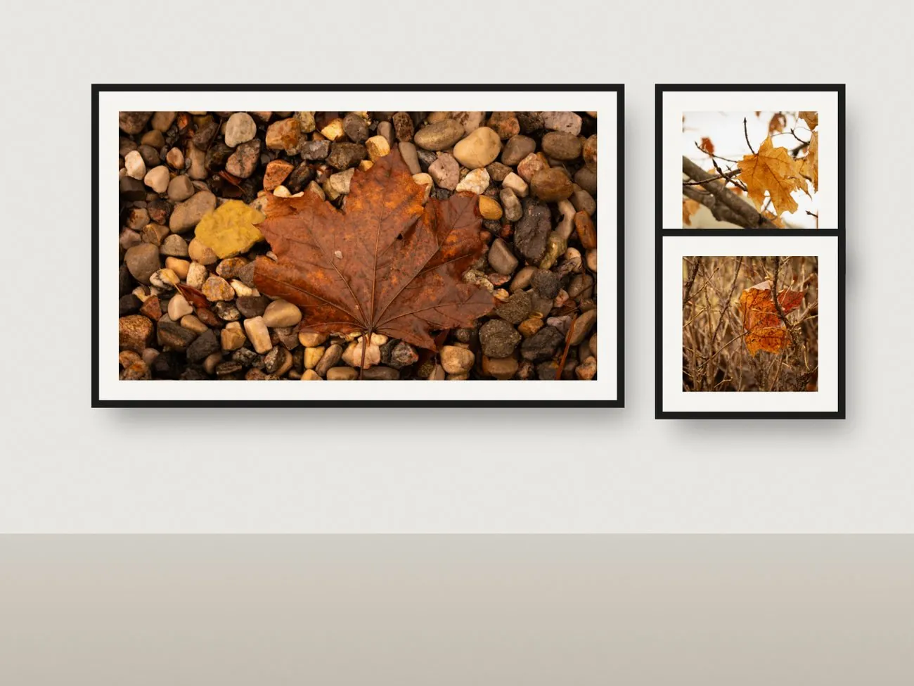 Feuilles d’érable, série photographique